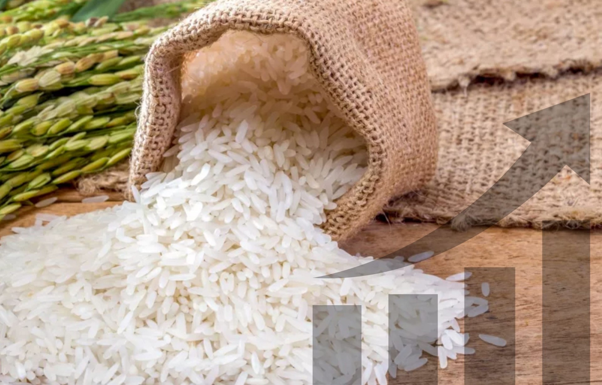 Riz